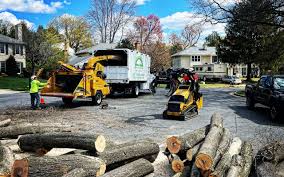 Best Firewood Processing and Delivery  in Verona, MS